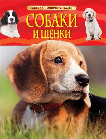 Собаки и щенки Собаки и щенки