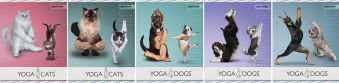 Тетр 40л скр А5 кл YD43/5-ЕАС твин УФ Yoga Dogs Тетр 40л скр А5 кл YD43/5-ЕАС твин УФ Yoga Dogs
