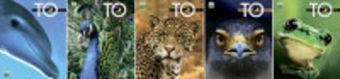 Тетр 80л скр А5 кл 7468/4-EAC Фауна - eye to eye Тетр 80л скр А5 кл 7468/4-EAC Фауна - eye to eye