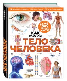 Тело человека