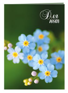 Нотная тетрадь (большая на скрепке). Голубые цветы