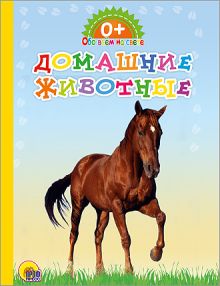 КАРТОНКА. ОБО ВСЁМ НА СВЕТЕ. ДОМАШНИЕ ЖИВОТНЫЕ