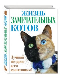 Жизнь замечательных котов