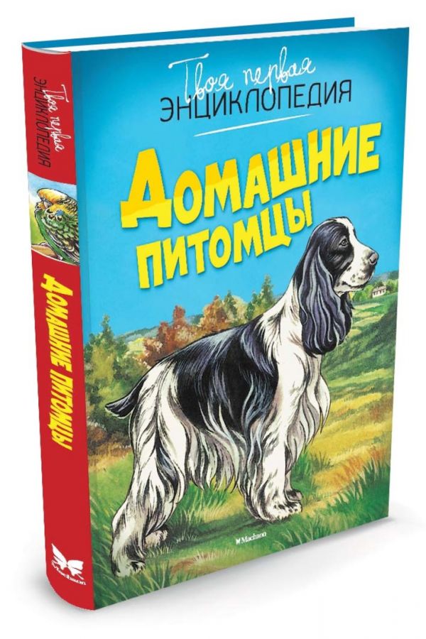 средства, энциклопедия в картинках домашние питомцы чтобы это