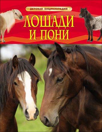 Лошади и пони Лошади и пони