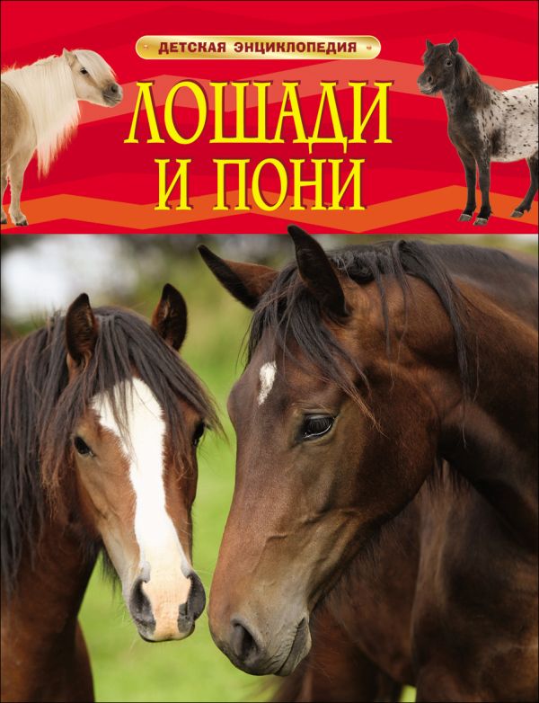 Лошади и пони Лошади и пони