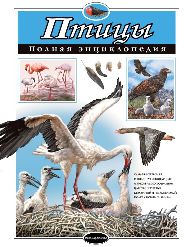 Zakazat.ru: Птицы. Полная энциклопедия. Школьник Юлия Константиновна