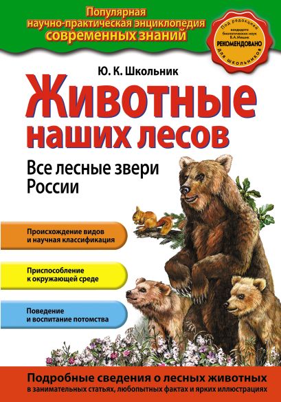Животные наших лесов. Все лесные звери России - фото 1