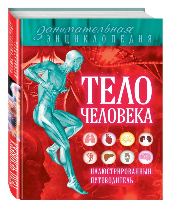 Тело человека: иллюстрированный путеводитель Тело человека: иллюстрированный путеводитель Лукашанец Д.А., Мазур О.Ч., Никитинская Т.В.