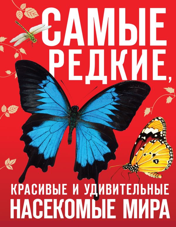 

Самые редкие, красивые и удивительные насекомые мира