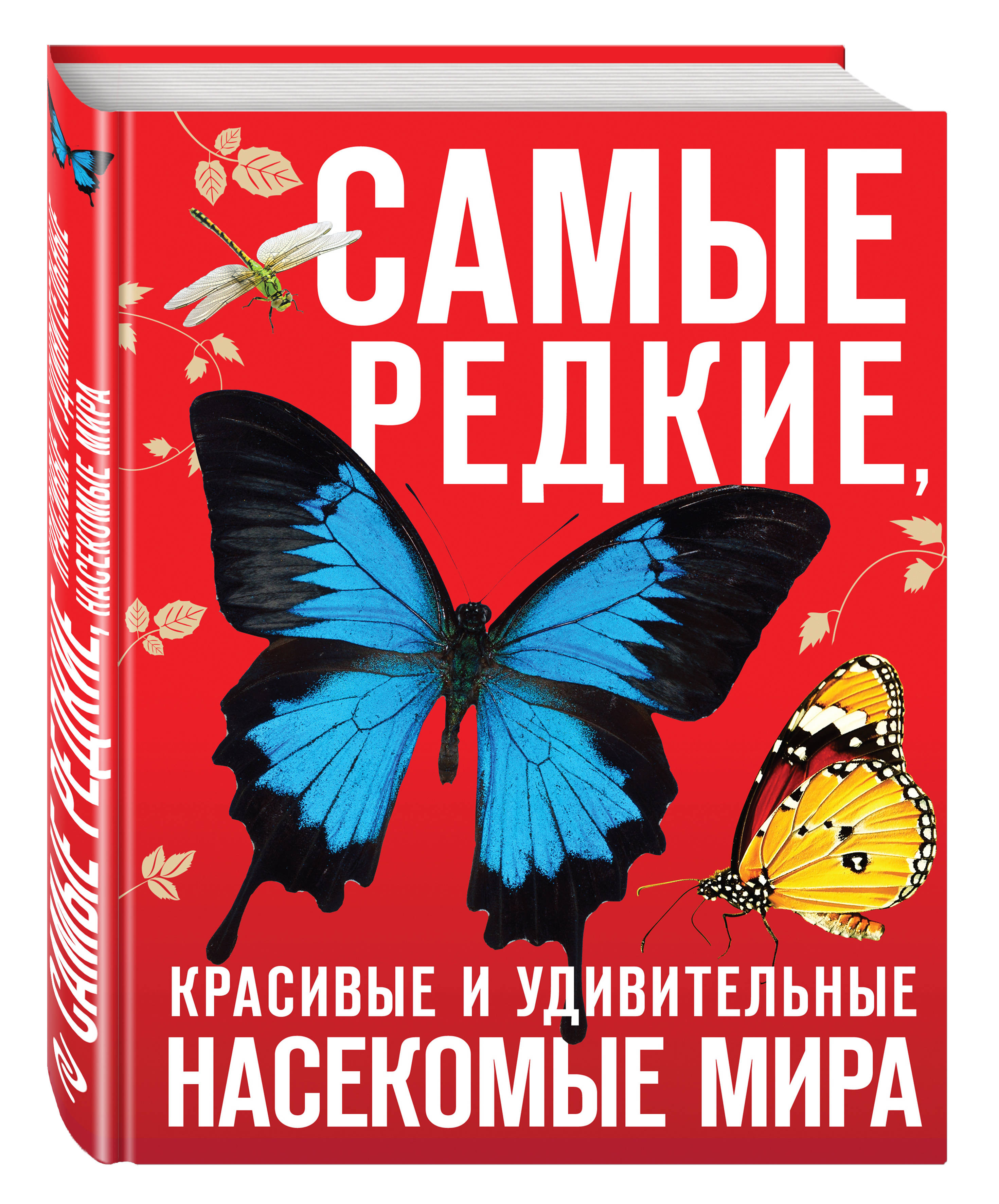 Самые редкие, красивые и удивительные насекомые мира
