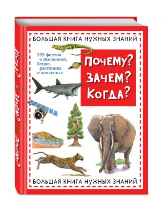 Почему? Зачем? Когда? Большая книга нужных знаний Почему? Зачем? Когда? Большая книга нужных знаний