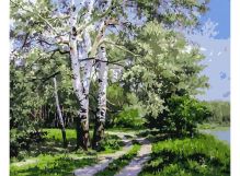 Живопись на холсте 40*50 см. Белая береза (371-AB)