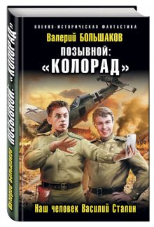 Позывной: «Колорад». Наш человек Василий Сталин