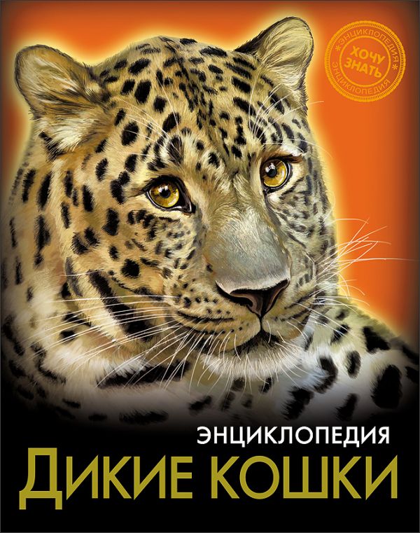 ЭНЦИКЛОПЕДИЯ. ХОЧУ ЗНАТЬ. ДИКИЕ КОШКИ ЭНЦИКЛОПЕДИЯ. ХОЧУ ЗНАТЬ. ДИКИЕ КОШКИ