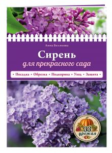 Сирень для прекрасного сада