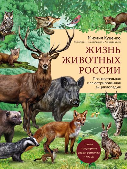 Жизнь животных России. Познавательная иллюстрированная энциклопедия - фото 1