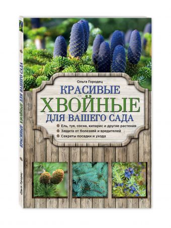 Красивые хвойные для вашего сада Красивые хвойные для вашего сада Городец О.В.