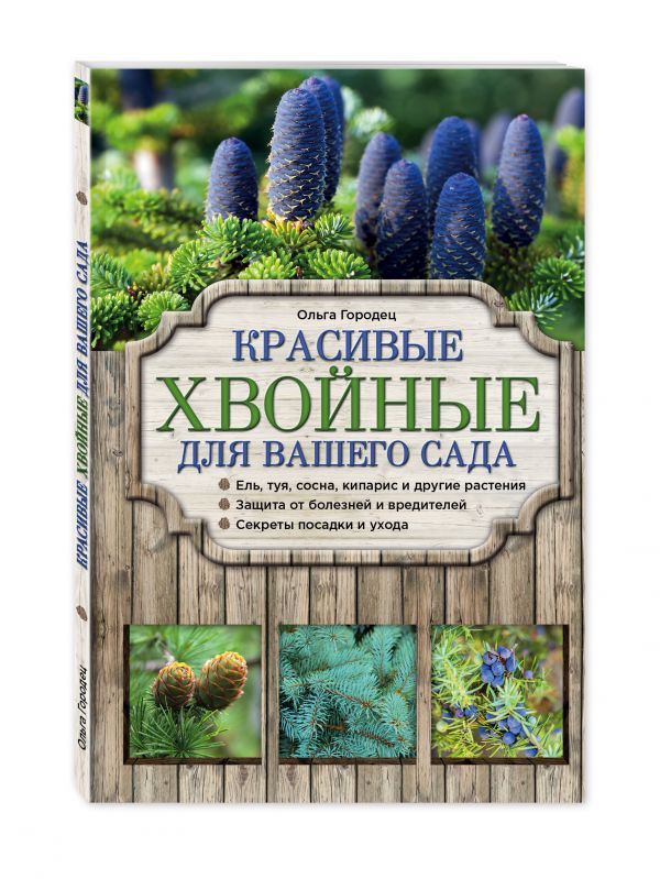 Красивые хвойные для вашего сада Красивые хвойные для вашего сада Городец О.В.