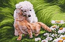 061-AS Обожание