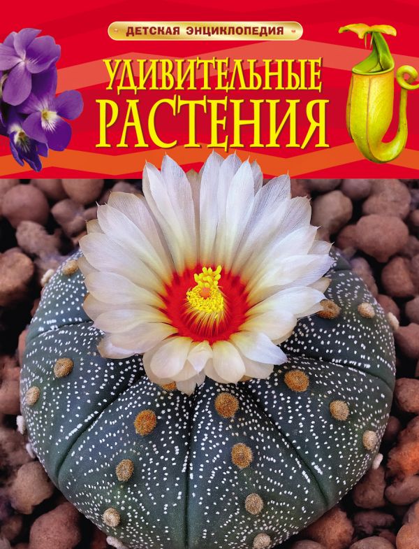 Удивительные растения Удивительные растения