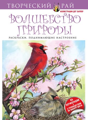 Волшебство природы. Раскраски, поднимающие настроение Волшебство природы. Раскраски, поднимающие настроение