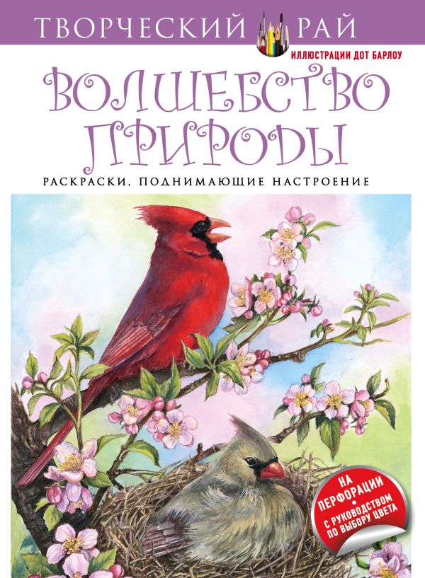 Волшебство природы. Раскраски, поднимающие настроение Волшебство природы. Раскраски, поднимающие настроение