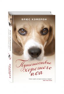 Путешествие хорошего пса