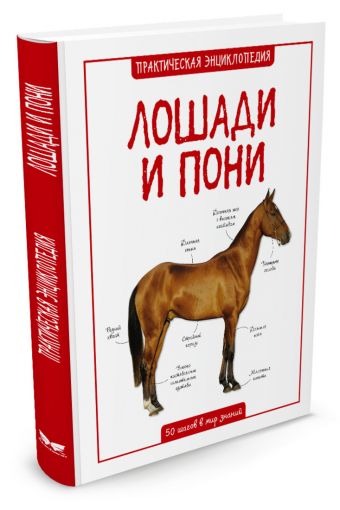 Лошади и пони Лошади и пони Бедуаер К.