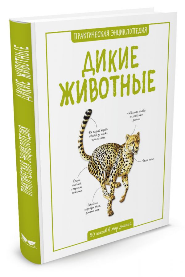 Дикие животные Дикие животные Морган С.
