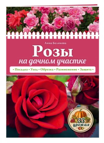 Розы на дачном участке (нов.оф.) Розы на дачном участке (нов.оф.) Белякова А.В.