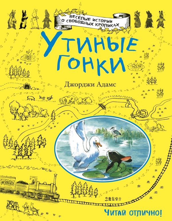 

Утиные гонки
