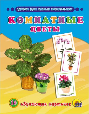 ОБУЧАЮЩИЕ КАРТОЧКИ. КОМНАТНЫЕ ЦВЕТЫ ОБУЧАЮЩИЕ КАРТОЧКИ. КОМНАТНЫЕ ЦВЕТЫ