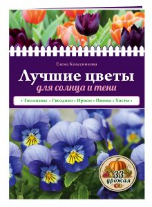 Лучшие цветы для солнца и тени