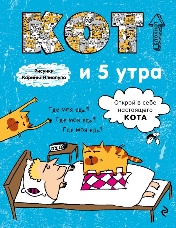

Блокнот. Кот и 5 утра