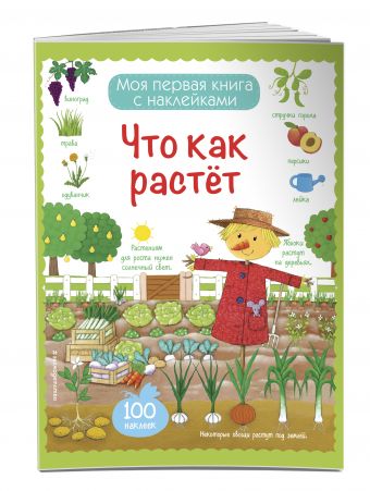 Что как растет (с наклейками) Что как растет (с наклейками)