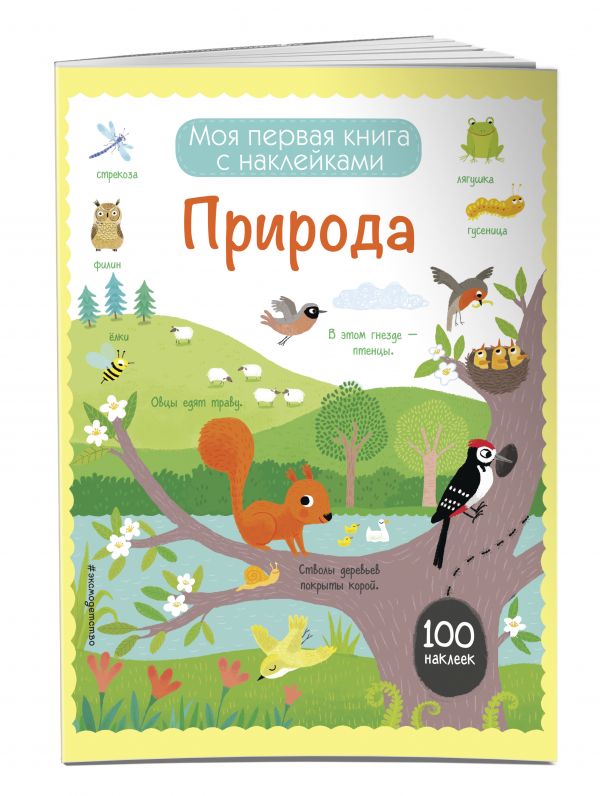 Природа (с наклейками) Природа (с наклейками)