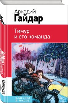 Тимур и его команда