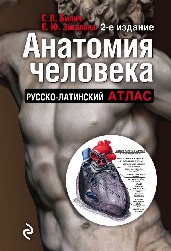 Анатомия человека: Русско-латинский атлас. 2-е издание. Билич Габриэль Лазаревич, Зигалова Елена Юрьевна