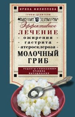 Молочный гриб Молочный гриб Филиппова И.А.