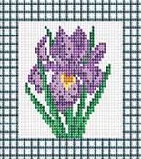 034-ST-PS Фиолетовый ирис