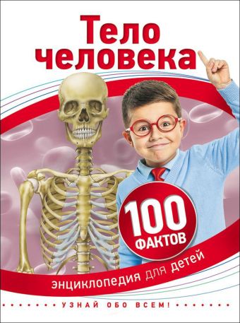 Тело человека Тело человека