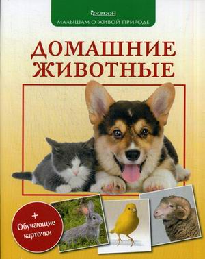 Домашние животные Домашние животные Волцит П.М.