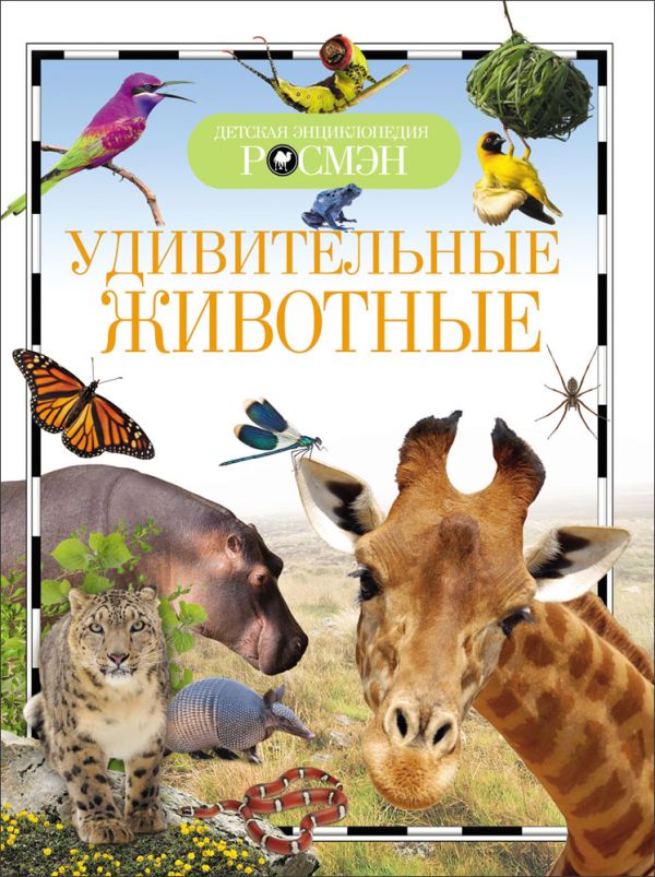 Удивительные животные Удивительные животные