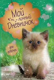 Котик на зеленой обложке Дневничок Котик на зеленой обложке Дневничок Мой личный дневничок