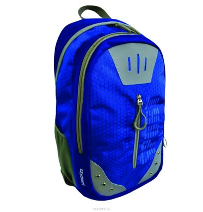 Рюкзак спортивный молодежный, цвет- синий. Размер 49*32*19 см, 2 отделения, уплотненная спинка, в наружном кармане органайзер для телефона и мелочей, - фото 1