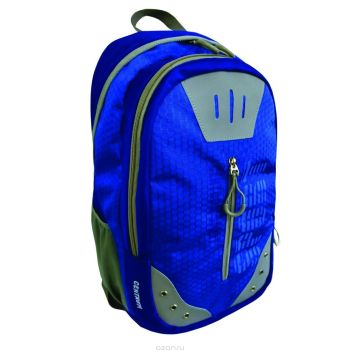Рюкзак спортивный молодежный, цвет- синий. Размер 49*32*19 см, 2 отделения, уплотненная спинка, в наружном кармане органайзер для телефона и мелочей,