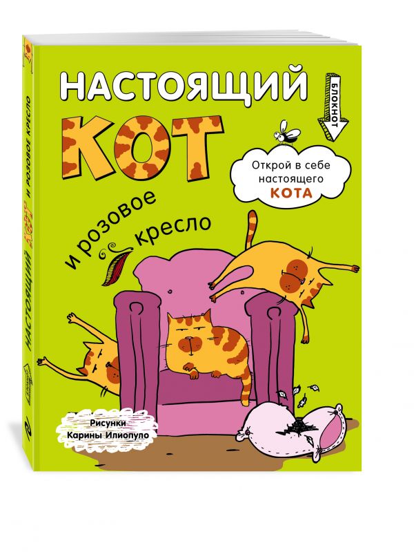 Блокнот. Настоящий кот и розовое кресло Блокнот. Настоящий кот и розовое кресло