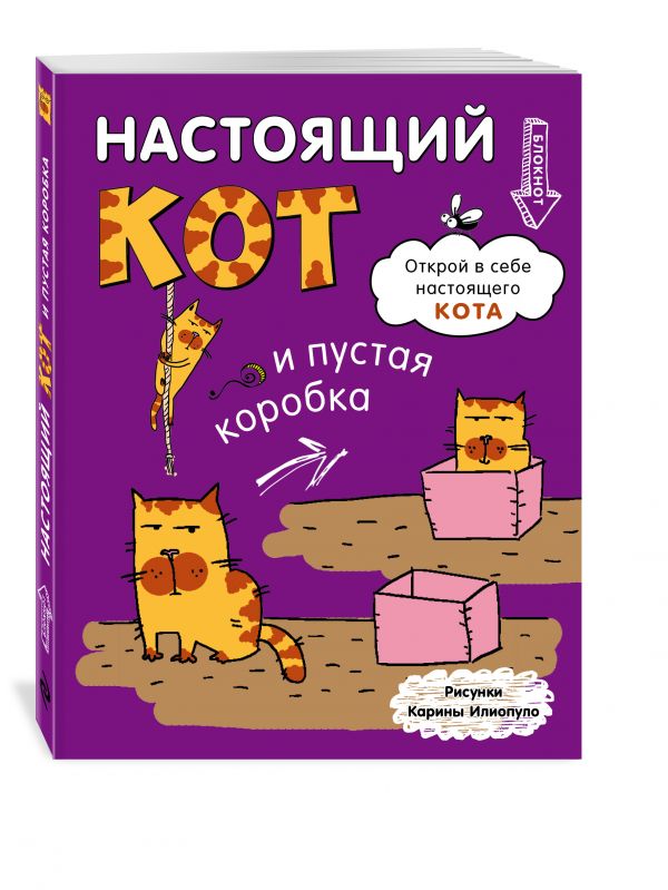 Блокнот. Настощий кот и пустая коробка Блокнот. Настощий кот и пустая коробка