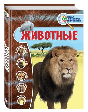 Животные Животные Лукашанец Д.А., Мазур О.Ч., Ивинская С.С.